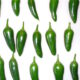 chili schote